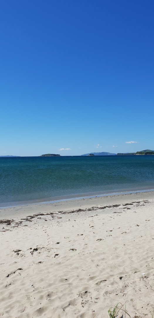 20180816_113212.jpg