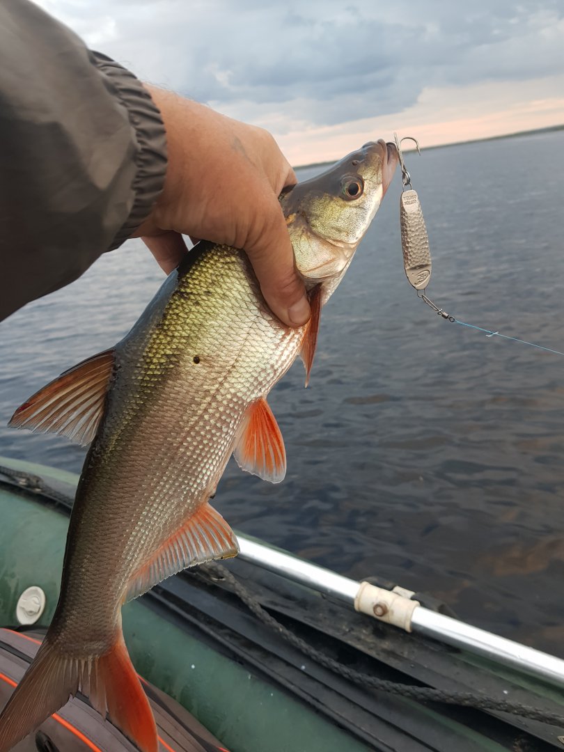 20180819_062204.jpg