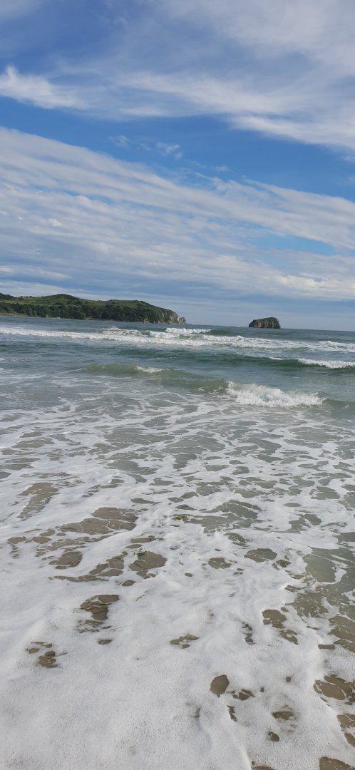 20180821_170548.jpg