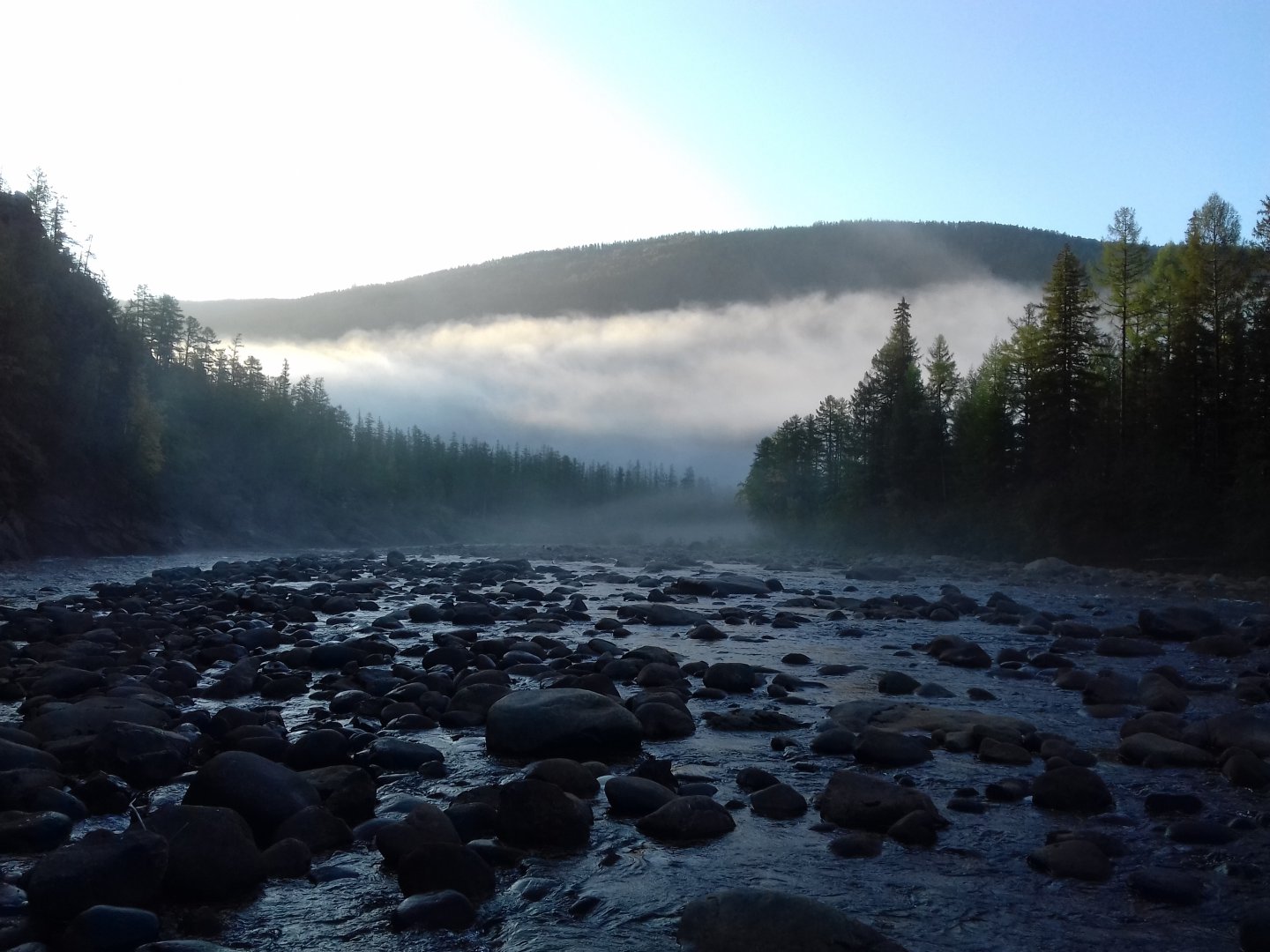 20180825_062054.jpg