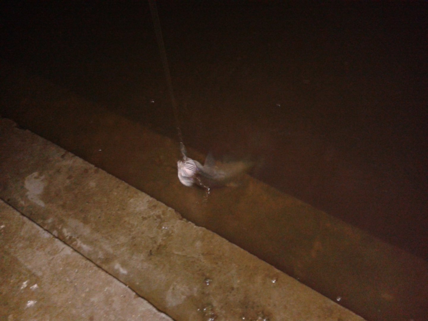20180829_044358.jpg