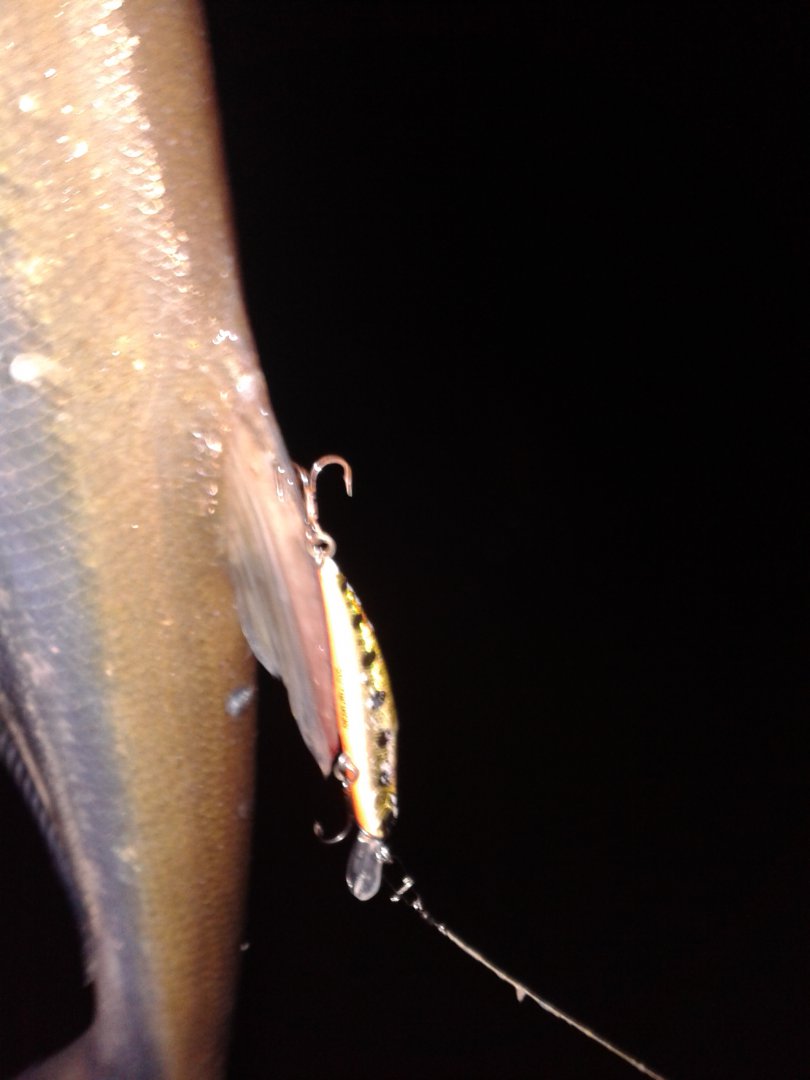 20180829_051835.jpg