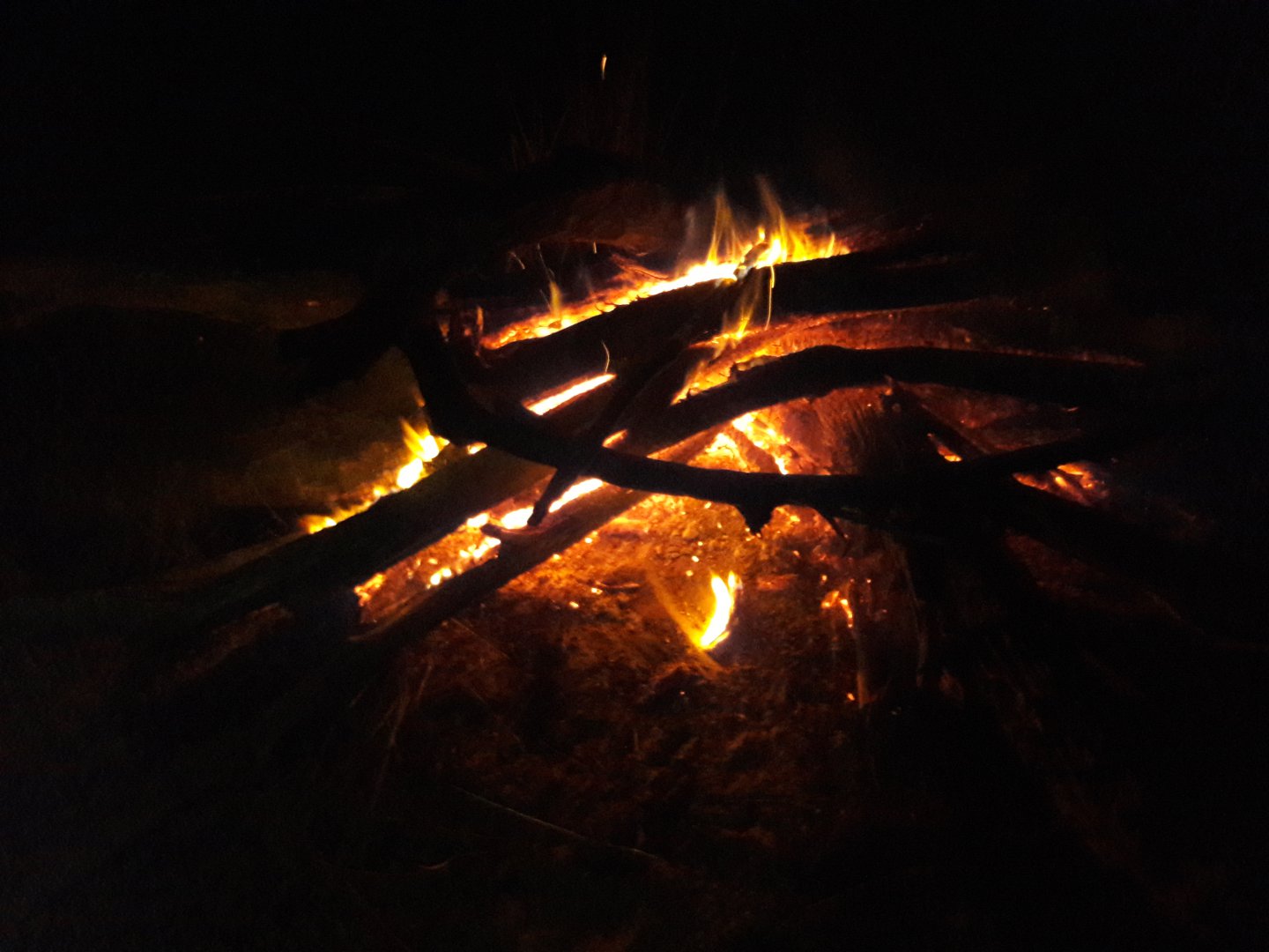 20180901_212926.jpg