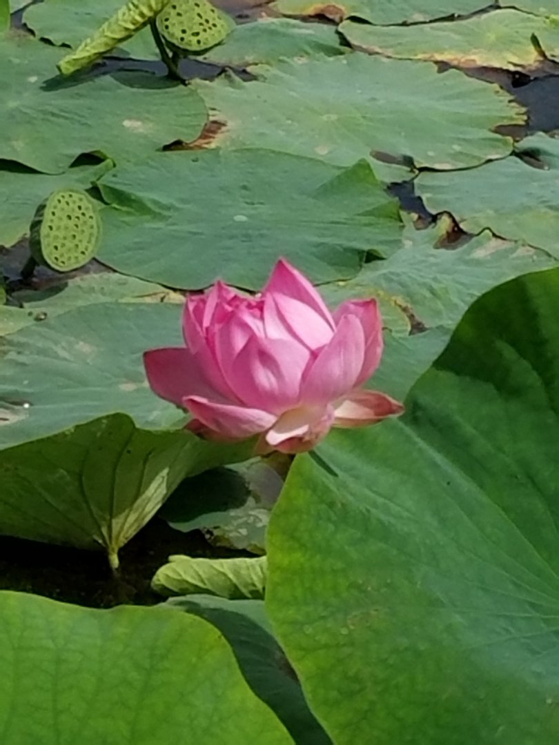20180902_115910.jpg