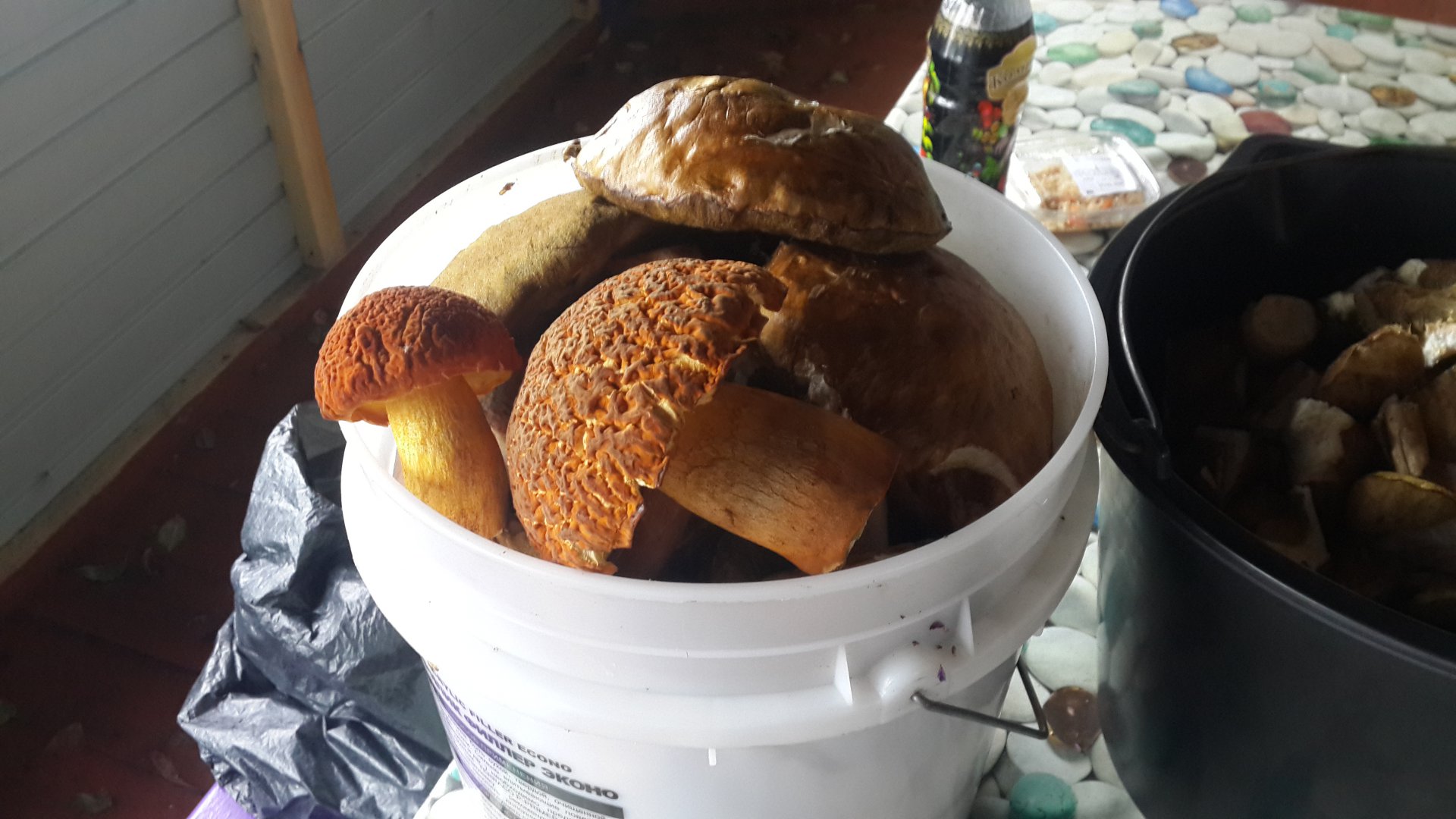 20180903_162412.jpg