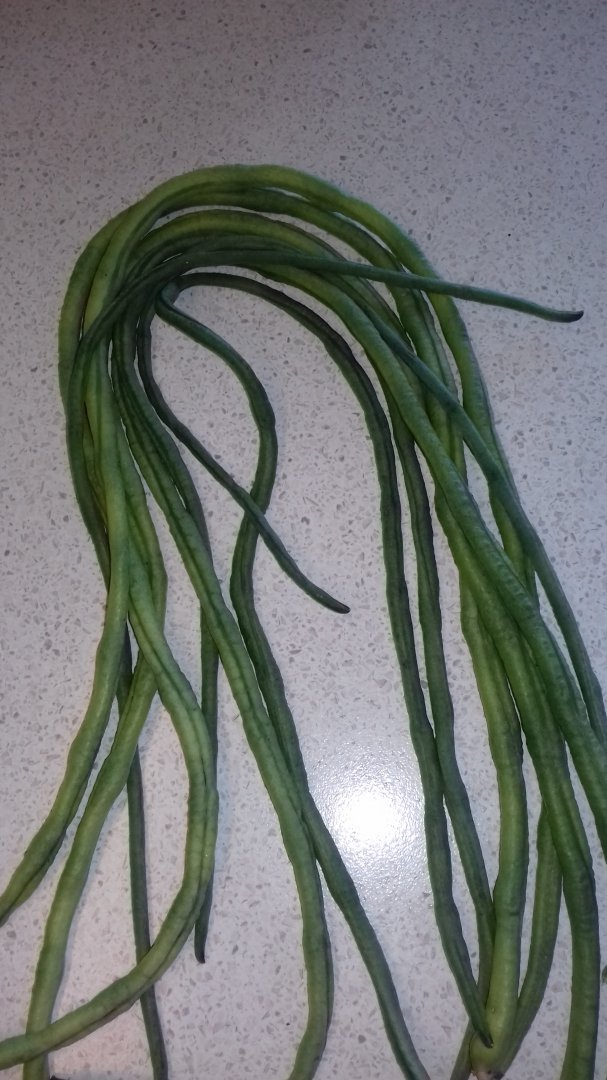 20180910_134011.jpg