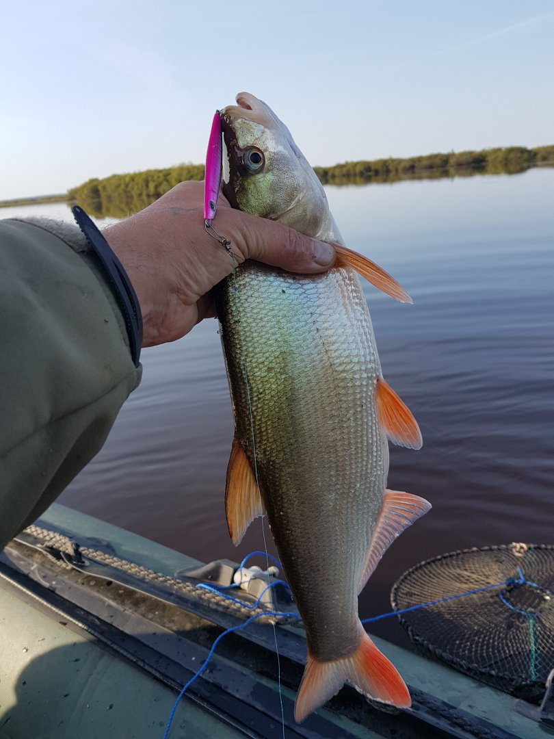 20180912_084216.jpg