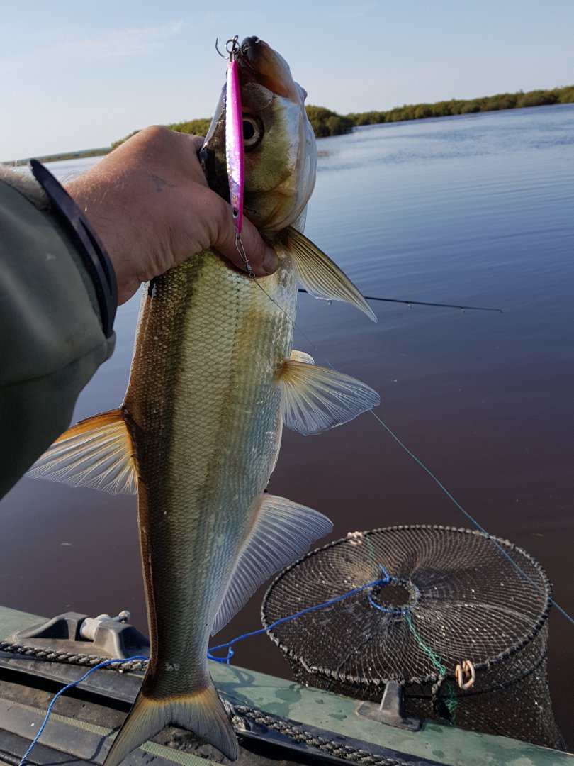 20180912_092217.jpg