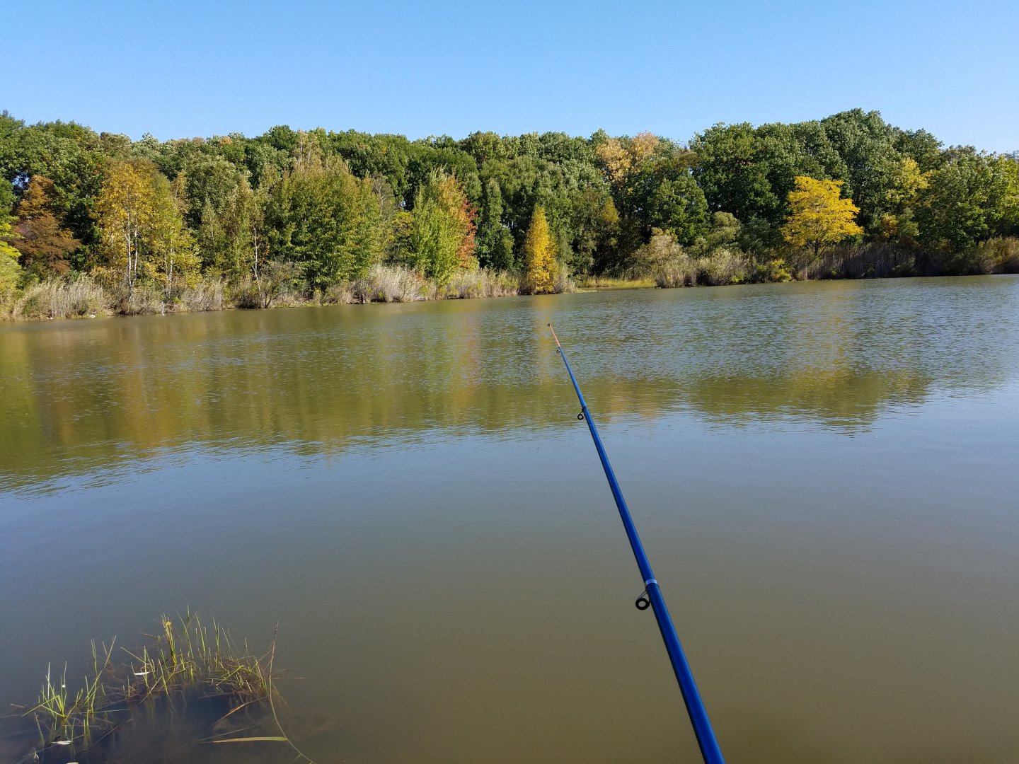20180916_103027.jpg