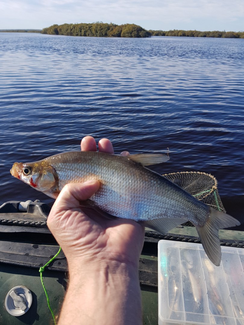 20180920_093731.jpg
