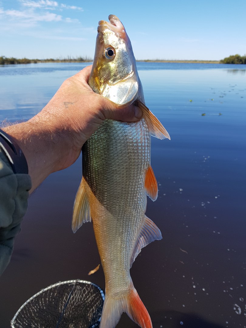 20180920_121534.jpg