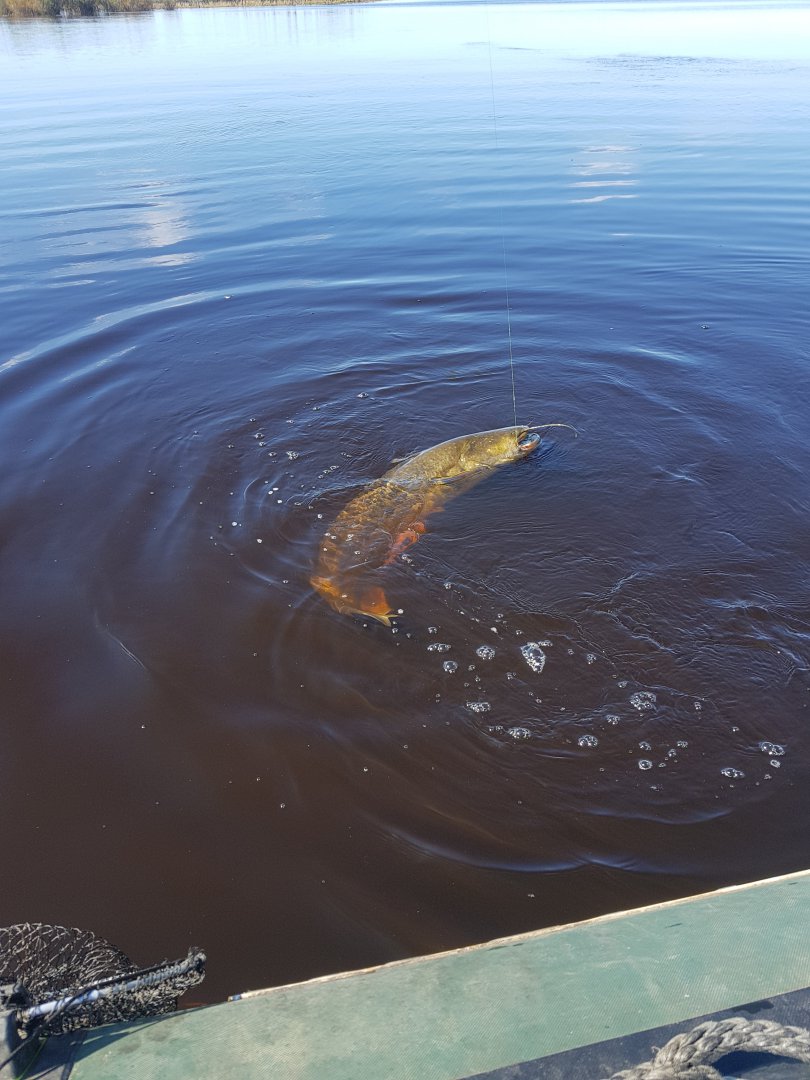 20180920_124824.jpg