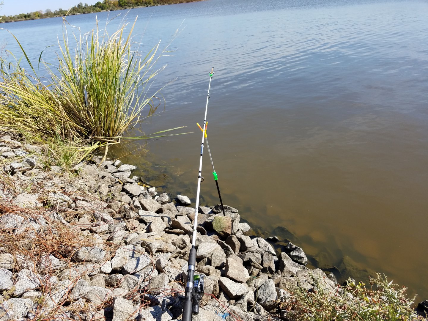 20180920_125713.jpg