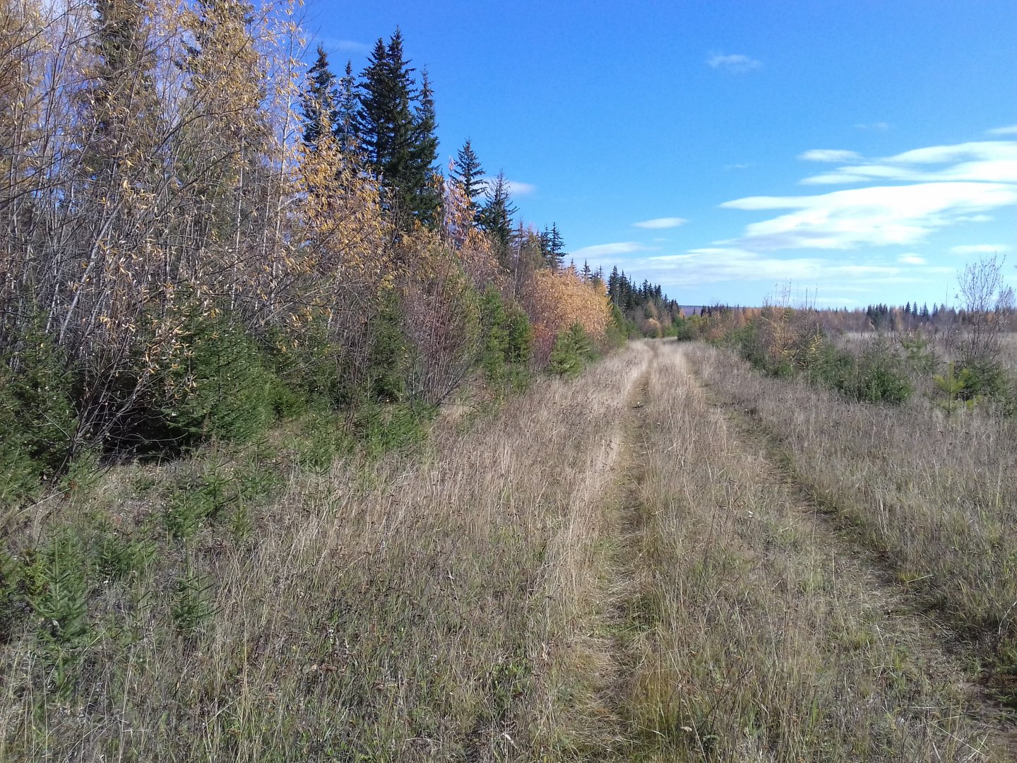 20180920_132846.jpg