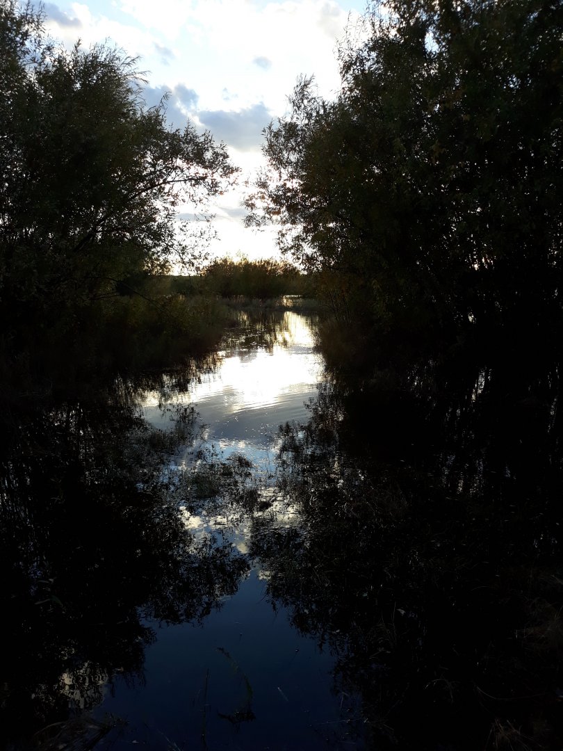 20180920_181442.jpg