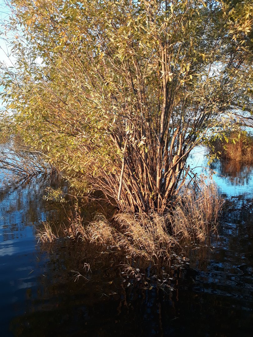 20180920_183815.jpg