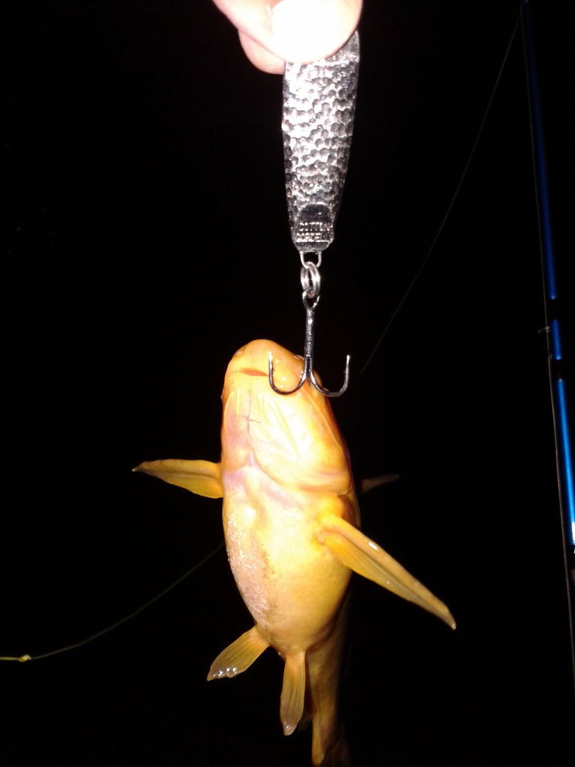20180920_234447.jpg
