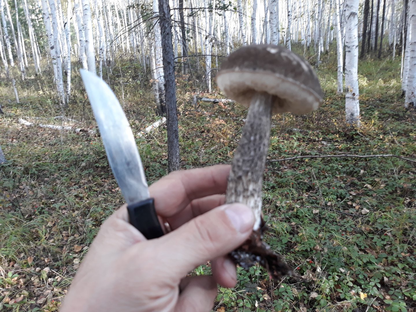 20180921_162743.jpg
