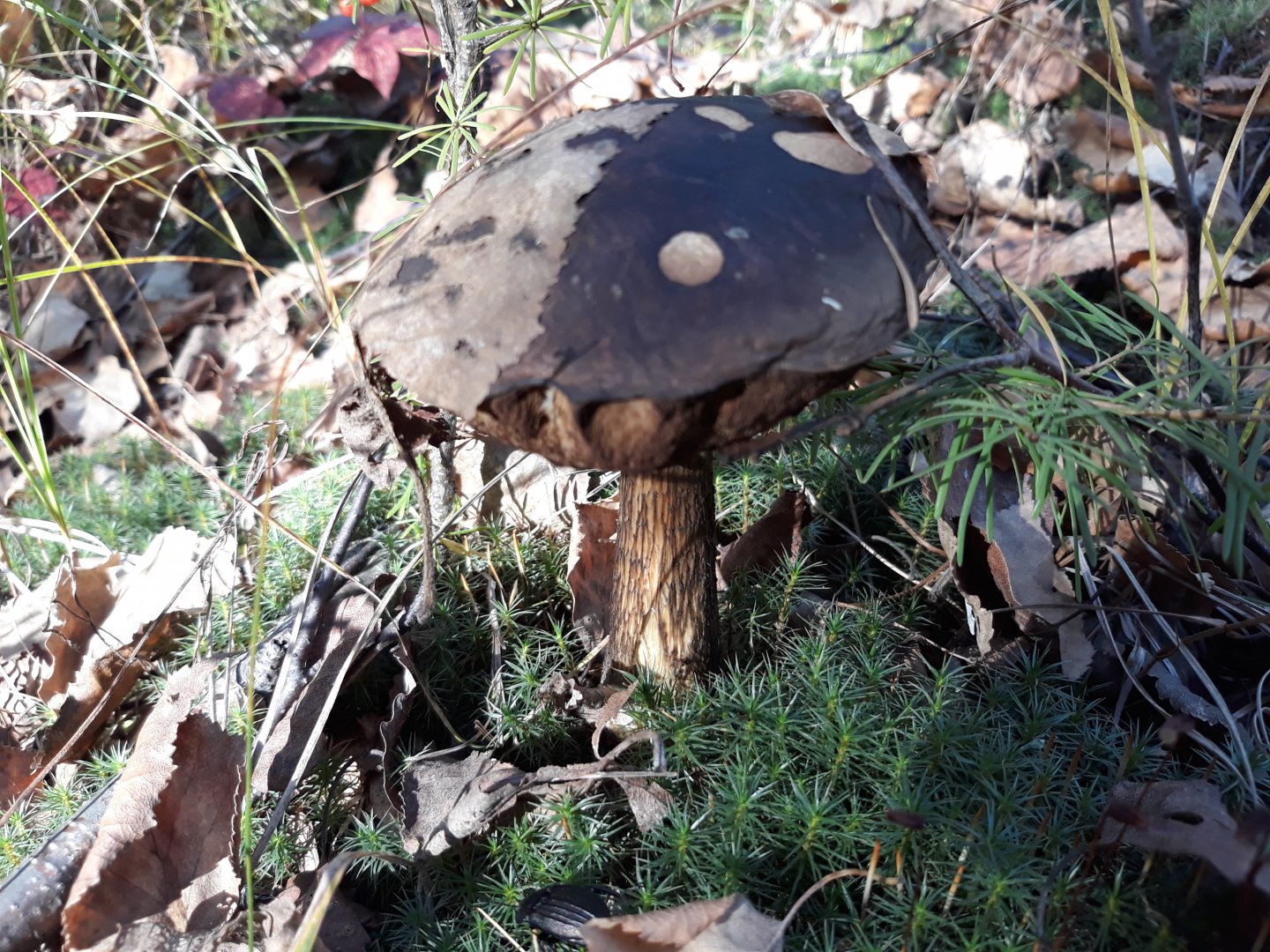 20180921_163442.jpg