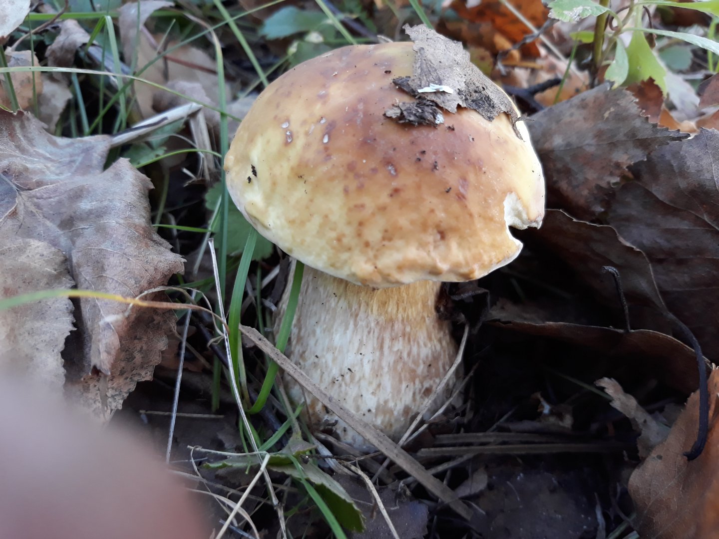 20180921_173529.jpg