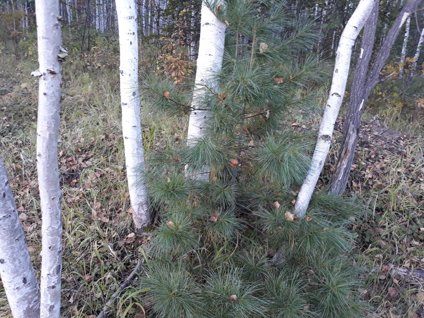 20180921_174557.jpg