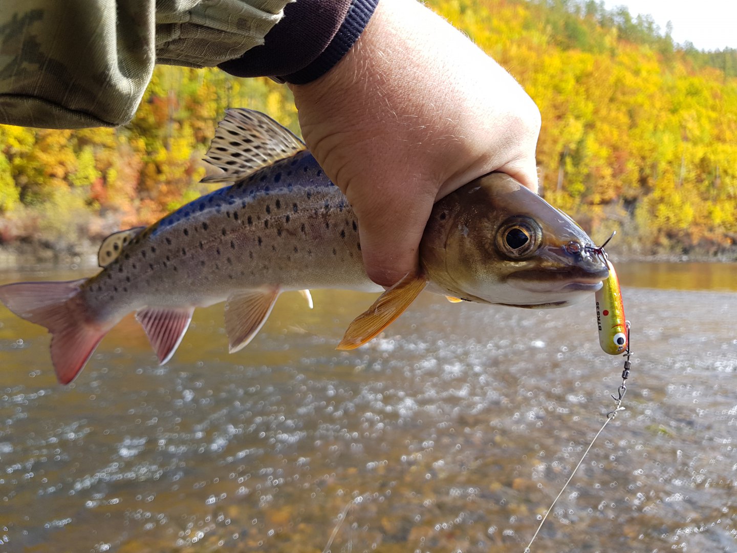 20180924_115327.jpg