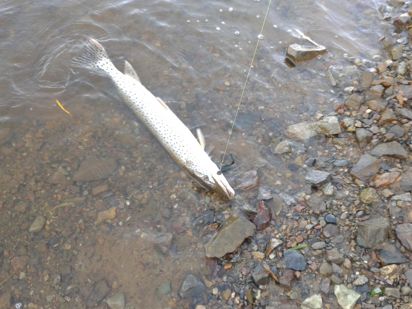 20180926_084546.jpg