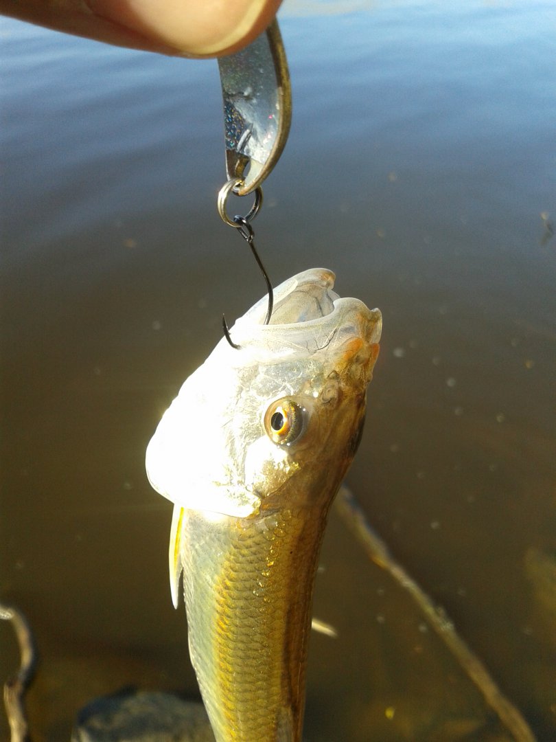 20180926_093755.jpg