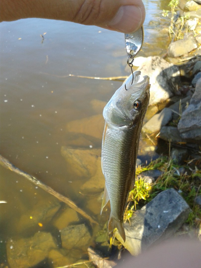 20180926_093823.jpg
