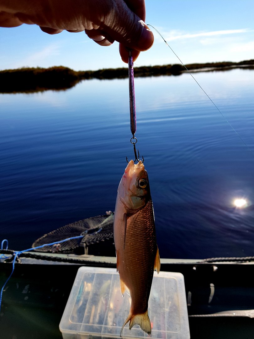 20180927_173116.jpg