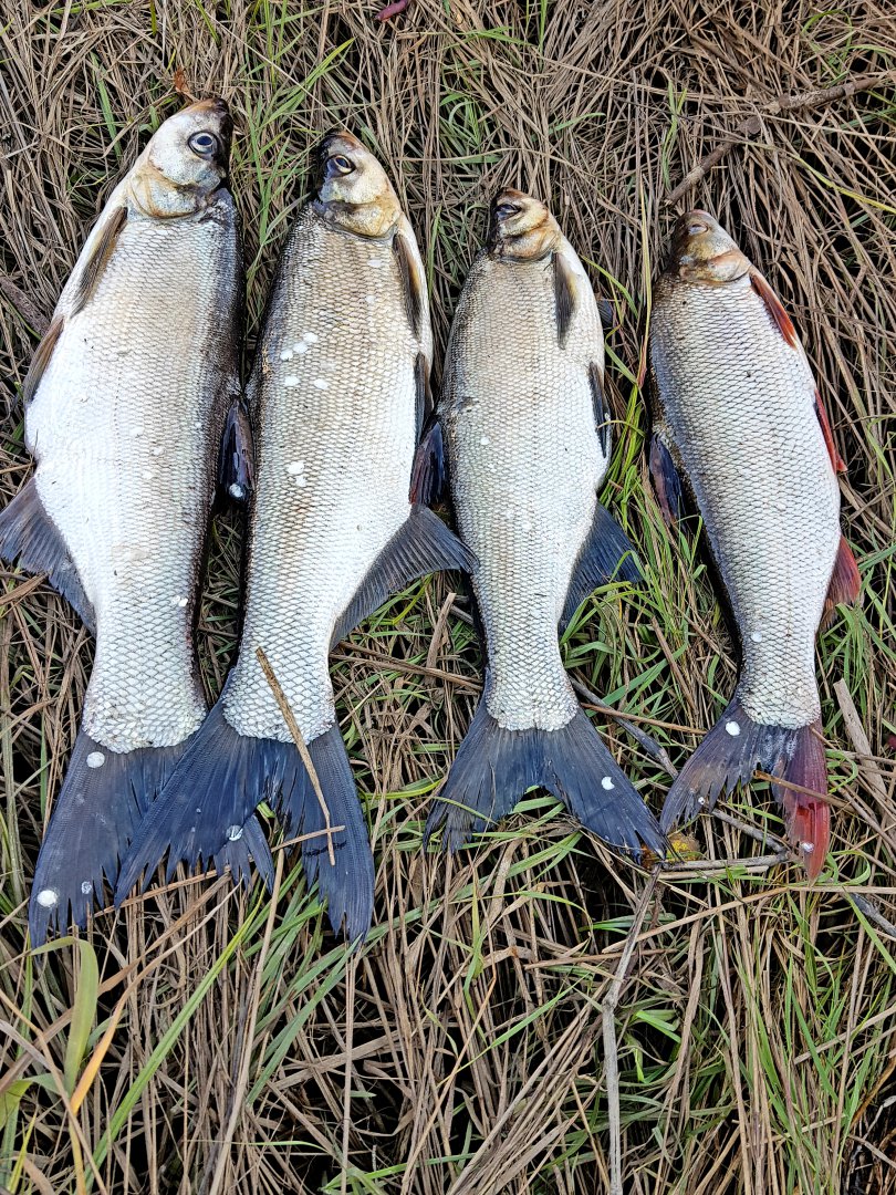 20180927_173351.jpg