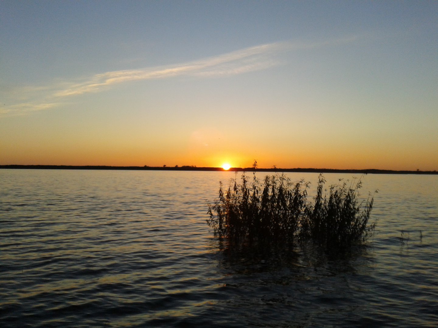 20180927_184446.jpg