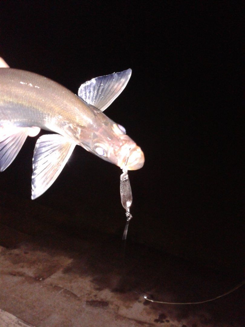 20180927_202307.jpg