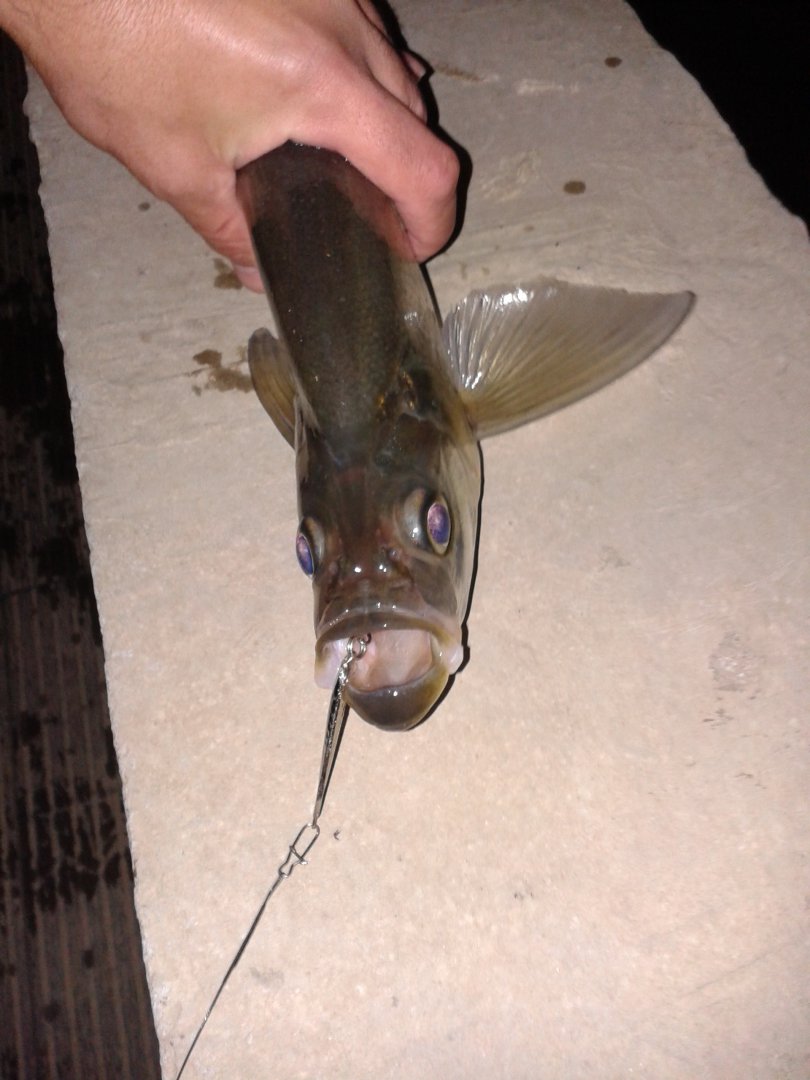 20180927_202839.jpg