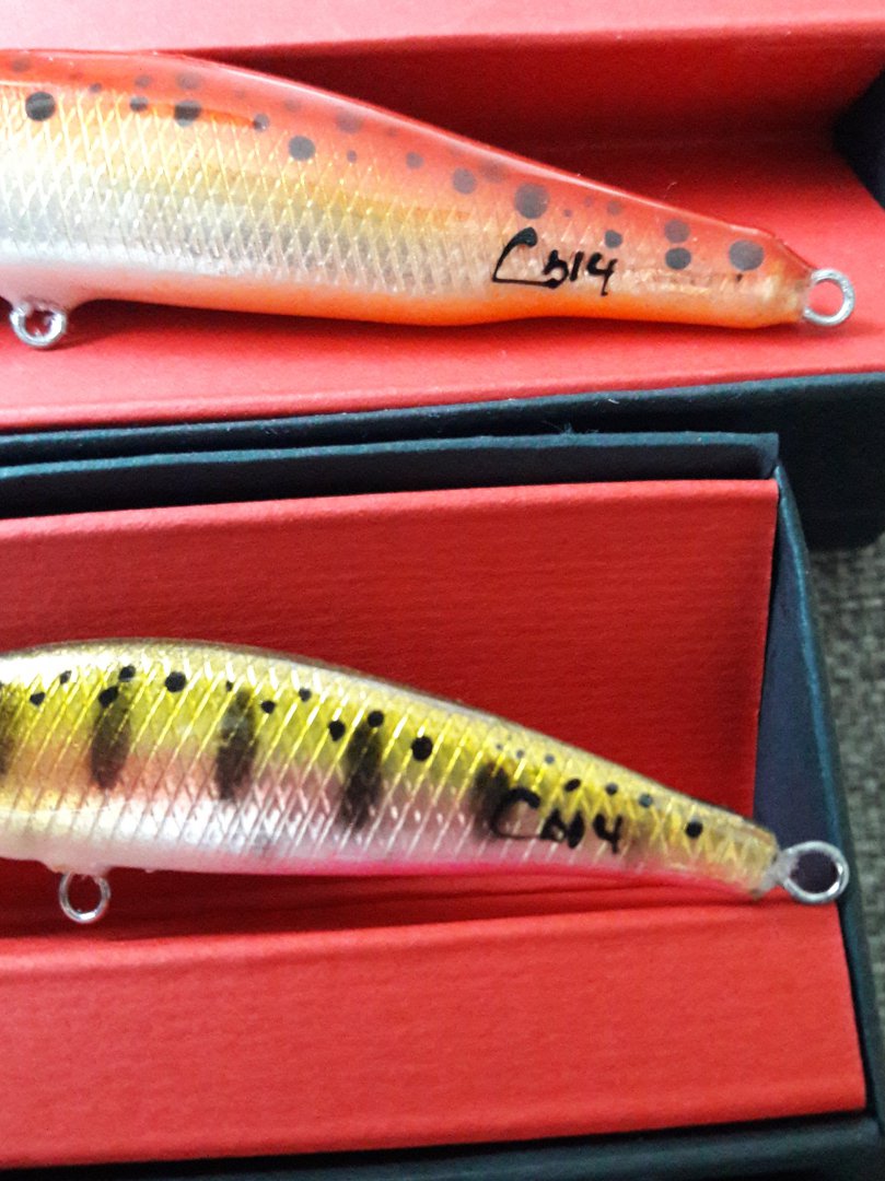 20180928_180223.jpg