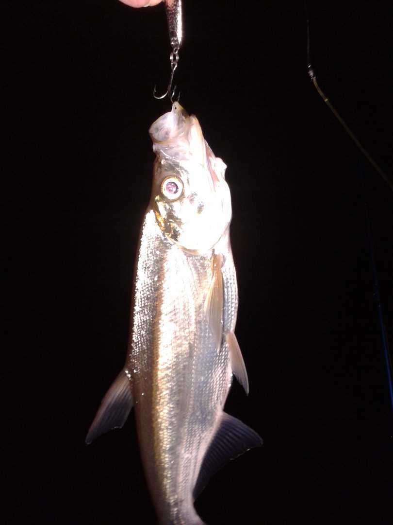 20180930_053836.jpg