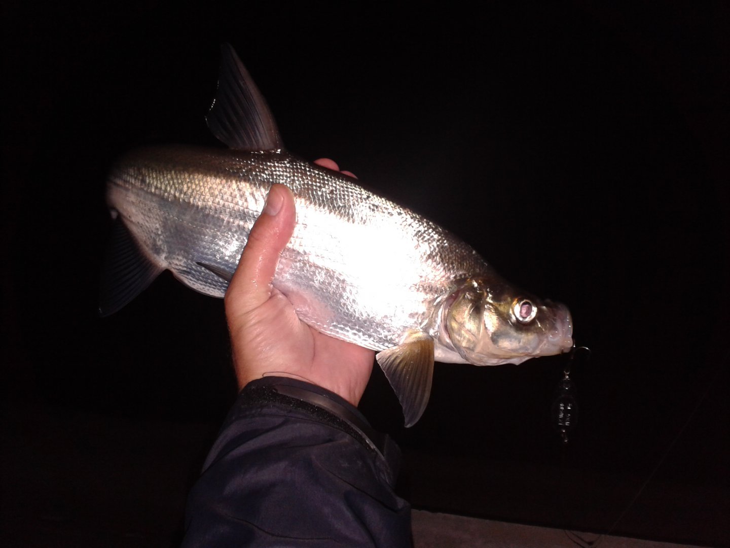 20181001_214034.jpg