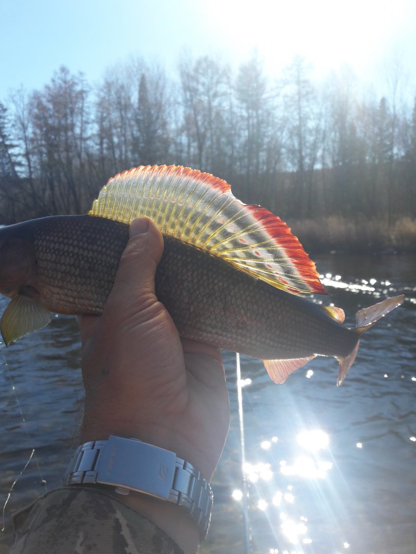 20181004_135023.jpg