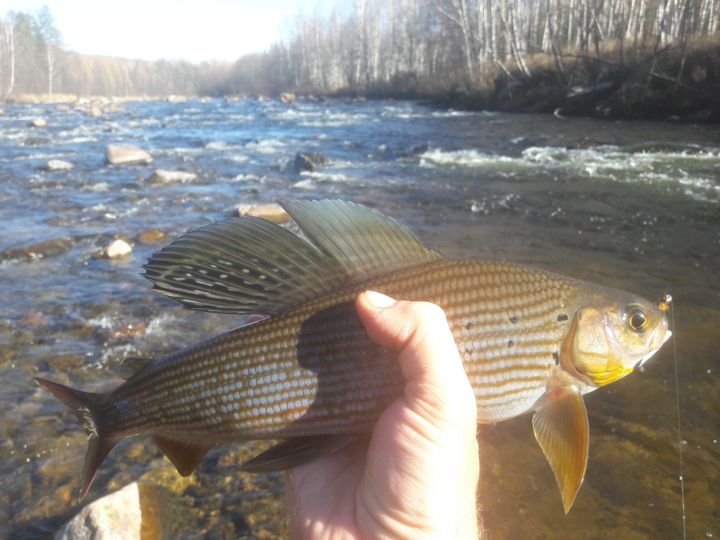 20181004_151927.jpg
