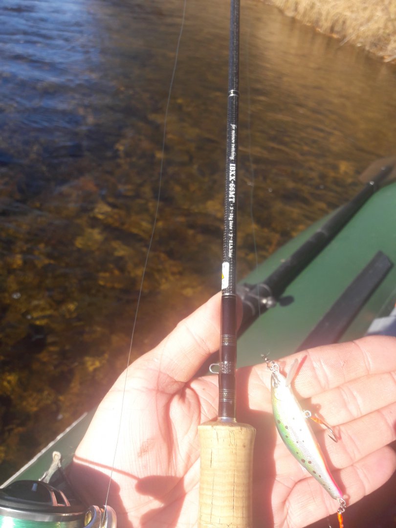 20181004_154117.jpg