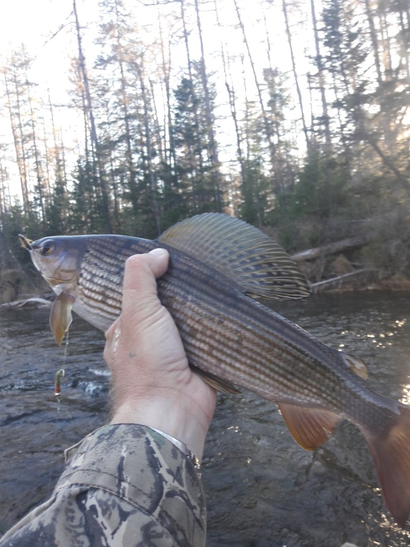 20181004_170344.jpg