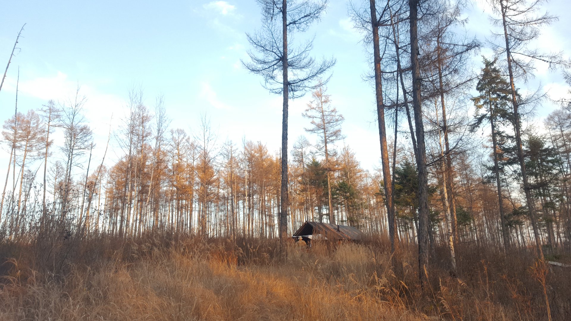 20181006_180650.jpg