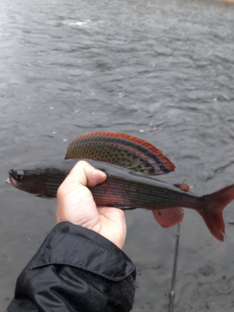 20181007_121635.jpg