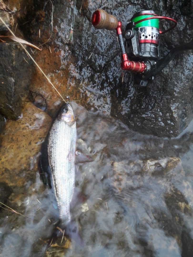 20181007_123952.jpg