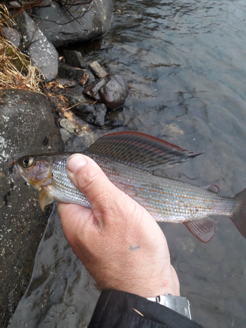 20181007_124033.jpg