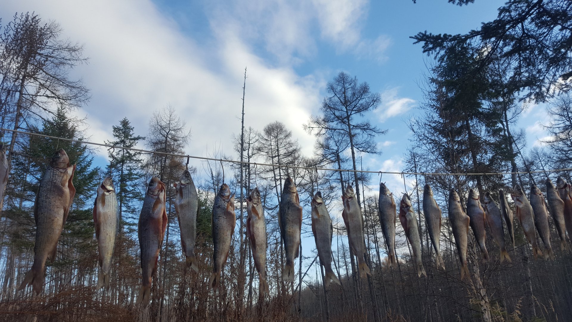 20181007_165124.jpg