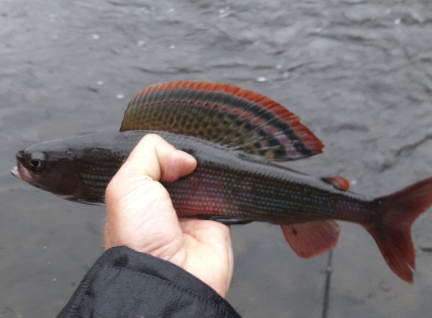 20181027_142447.jpg