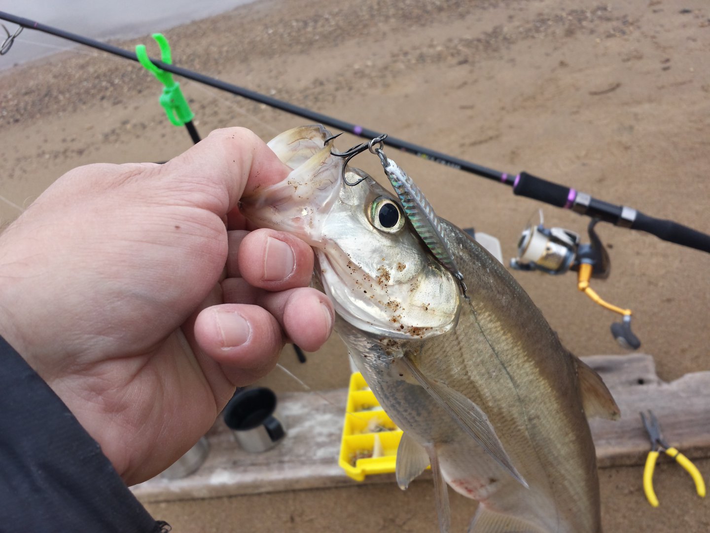 20181110_141832_Richtone(HDR).jpg