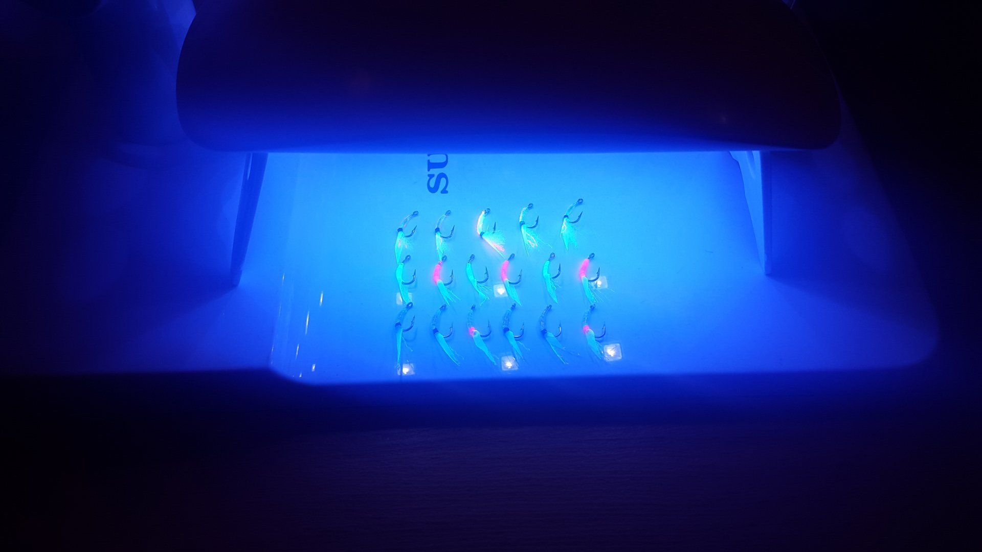 20181120_160207.jpg