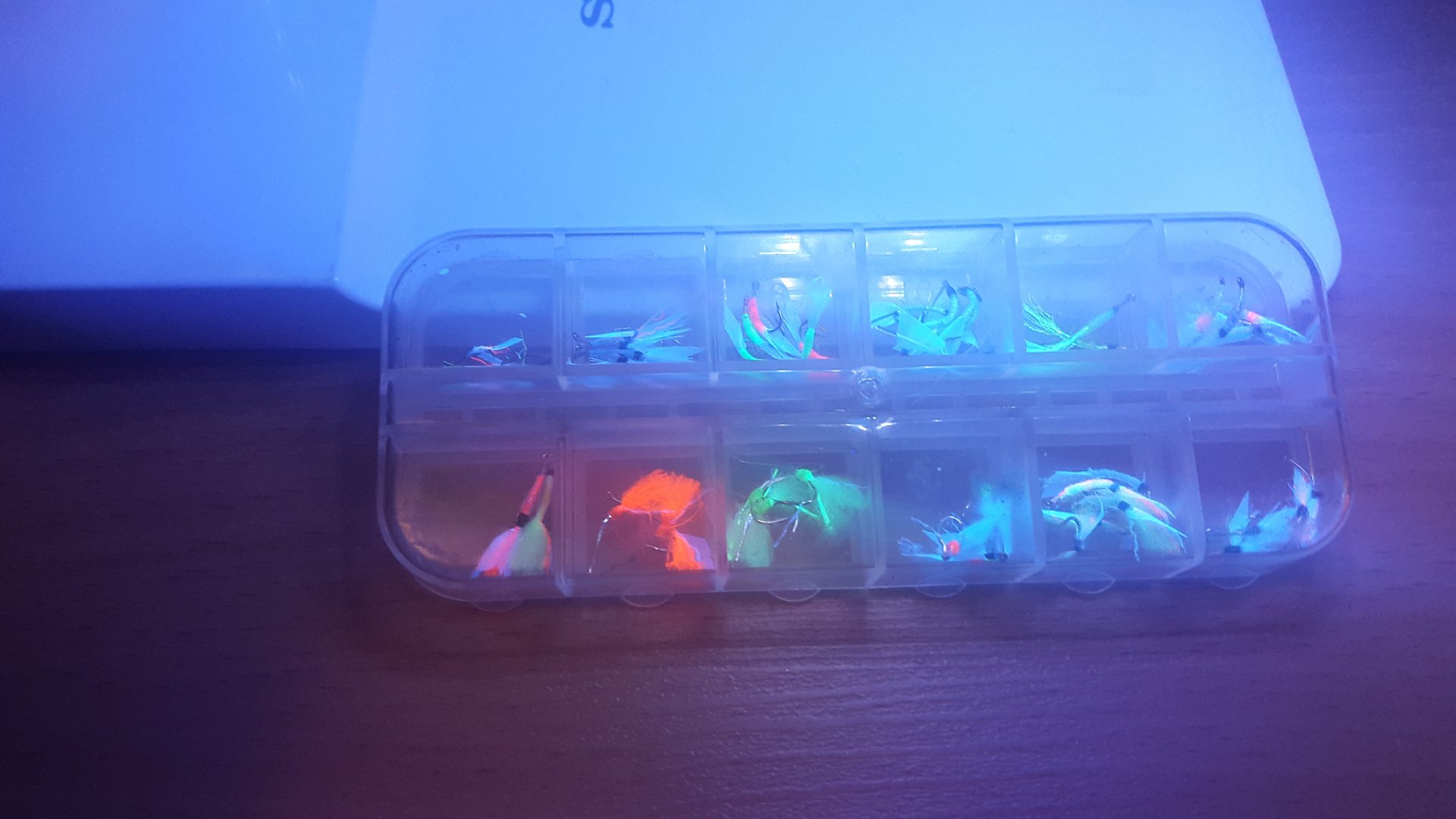 20181120_160325.jpg